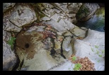 Thassos - Maries -04-09-2018 - Bogdan Balaban